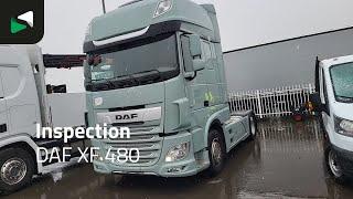 DAF XF 480 - 2019 - BAS World