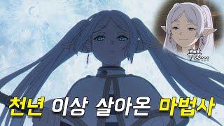 엘프 종족으로 판타지 세계 정점을 찍는다면?넷플릭스 1위[애니리뷰]