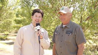 California Walnut Grower Fallows Land for Water Recharge Purposes