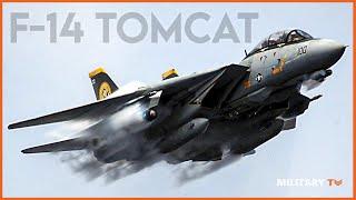 Why the F-14 Tomcat Is Such a Badass Plane