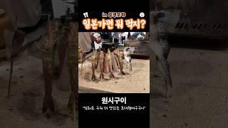 일본가면 뭐먹지? 후쿠오카 맛집 모음