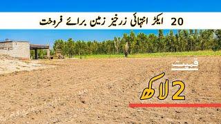 sasta zari Raqba for sale in Punjab Pakistan | land for sale