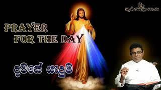 Prayer for the Day (දවසේ යැදුම) ''ළදරුවන්ට මා වෙත එන්නට ඉඩ දෙන්න