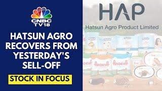 Hatsun Agro Rises 10% Today After A 4% Fall Yesterday Following Weak Q2FY25 Results | CNBC TV18