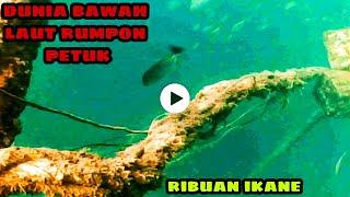 diselami!!rumpon petuk isinya ribuan ikan!!diving in the sea