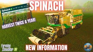 SPINACH - NEW INFORMATION ANNOUNCED - Farming Simulator 25