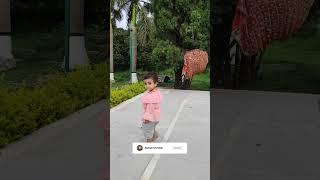 Last Point of Pinjore Garden | #shorts #ytshorts #youtubeshorts #viral #tranding #pinjore #garden