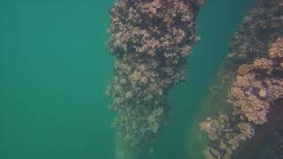 1080p 1st trident ROV dive