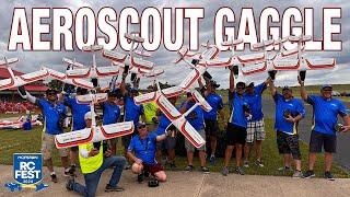 HobbyZone AeroScout RC Airplane Gaggle at Horizon RC Fest