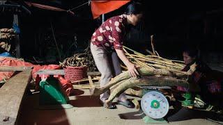 The single mother took care of her children and went into the deep forest to find furniture to sell