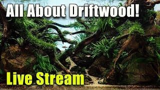 [LIVE]  All About Driftwood!  Plus FIsh Q&A and a Giveaway!