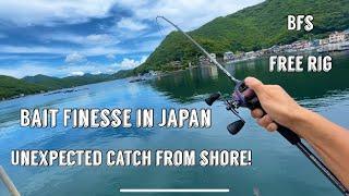 Bait Finesse Fishing in Japan with Free Rig. Rare catch from shore!