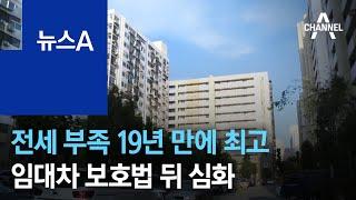 전세공급 부족 19년 만에 최고…임대차 보호법 뒤 심화 | 뉴스A