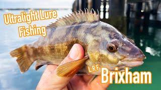 Ultra Light LRF Lure Fishing, Brixham, Devon.