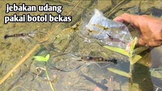 JEBAKAN UDANG PAKAI BOTOL BEKAS di aliran gunung tengah hutan