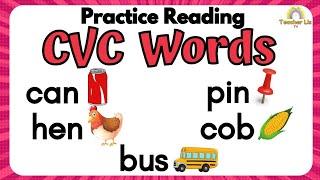 Practice Reading CVC Words | Short Vowel Words | Short a | Short e | Short i | Short o | Short u