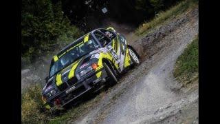 43. Rallye Fränkische Schweiz 2024 - WP 8 Stadtwald | D. Wegel | P. Weiser | BMW E36 318ti