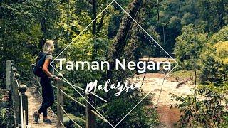 Getting to Taman Negara - World's Oldest Jungle - Malaysia