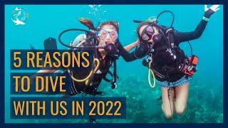 5 reasons to dive with us in 2022 // Bay Islands College of Diving