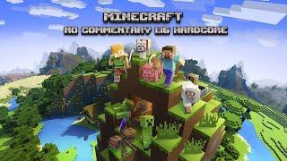 Minecraft 1.16 Hardcore (No commentary) #1