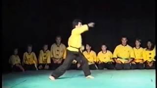 13   Ecole Hoang Nam & Hoang Nghi Kung fu