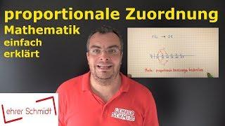 Proportionale Zuordnung | Mathematik | Lehrerschmidt - einfach erklärt!