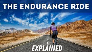 Base Miles: The Science Behind the Endurance Ride