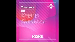 True Love : Originally Performed By 핑클  Karaoke Verison