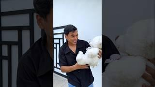 THE LITTLE BEAR OF LARIN #comedy