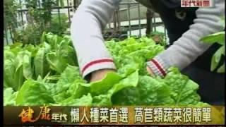 在家種菜diy