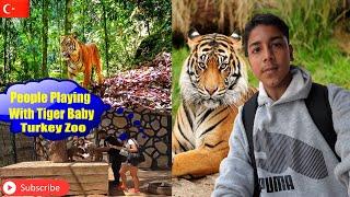 Dream Animal Park | Park of Istanbul 2022 | Does Istanbul have Zoo | turkey zaid explore #Istanbul