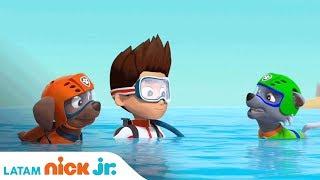 Dive In with PAW Patrol | Nick Jr