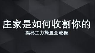 详细揭秘主力庄家的操盘全流程，从此不再被套路