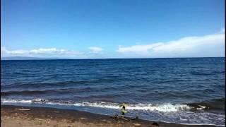 Picnic at Tom and Les's Dauin Spot, Negros Orienal  -Philippines Expat