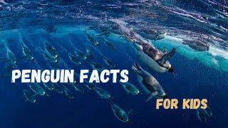 5 Incredible Penguin Facts for Kids | Explore this Fun and Educational Video