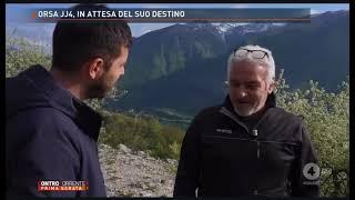 In Abruzzo gli orsi sono attrazione turistica - Scanno / Villalago - 2023