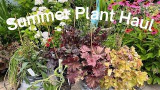 SUMMER PLANT HAUL