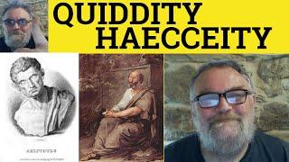  Quiddity Meaning - Haecceity Examples Quiddity Defined Haecceity Explained - Quiddity vs Haecceity