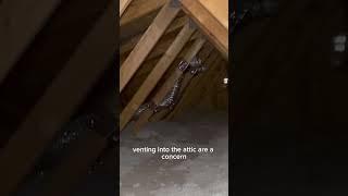 Attic inspection Salt Lake City. Incorrectly installed vent systems; mechanical and passive
