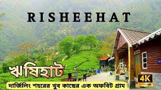 Risheehat ~ New Homestay || Darjeeling Offbeat Tour || ঋষিহাট || Travel Vlog #25 @thedreamzland