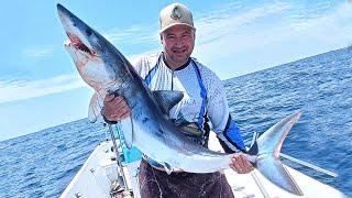 FOMOS EM BUSCA DOS GIGANTES, CAÇÃO E DOURADO DO MAR