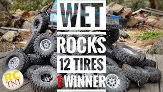 Best Crawler Tires for Wet Rock?