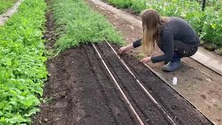 Applying Vermicast to No-Till Beds