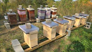 Winding Down The Season in our Kentwood Apiary