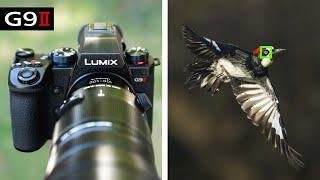 Panasonic G9II Review for Wildlife Photography