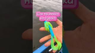 Шок приманка на судака #fishing #music #рыбалка #рекомендации #поклевка# судак