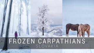 Frozen Carpathians, Malé Karpaty v zime | Winter cinematic video