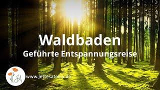 10 Minuten geführte Entspannungsreise | Waldbaden | Entspannen und Loslassen | Achtsamkeitsübung