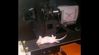 SmART+ Small Animal Radiotherapy System