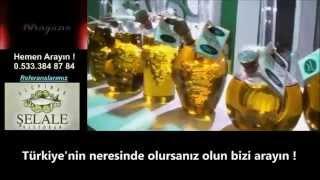 web sitesi optimizasyonu